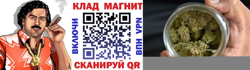 Купить наркотики цена Отрадный Конопля  Cocaine  ГАШ 