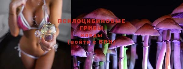 хмурый Армянск