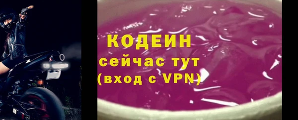 прущие грибы Арсеньев