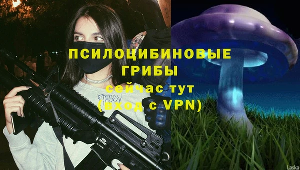 хмурый Армянск