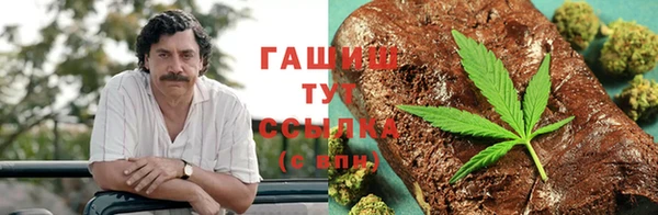 прущие грибы Арсеньев