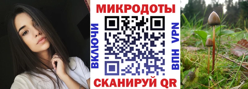 Псилоцибиновые грибы GOLDEN TEACHER  где найти   MEGA как войти  Отрадный 